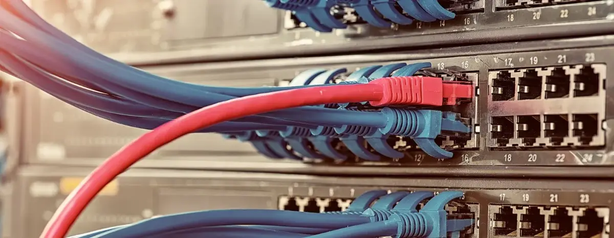 Nahaufnahme von Netzwerk-Switches mit roten und blauen Kabeln, die verbunden sind.